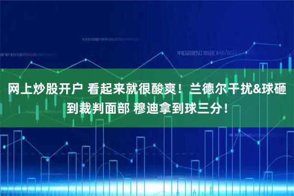 网上炒股开户 看起来就很酸爽！兰德尔干扰&球砸到裁判面部 穆迪拿到球三分！